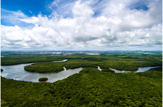 Proteger para manter