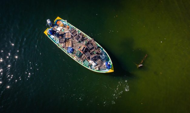 Empresa evita uso de 407t de plástico virgem