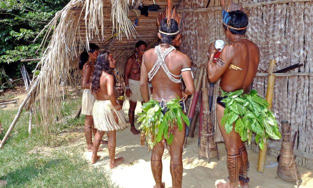 Os índios protegem as florestas