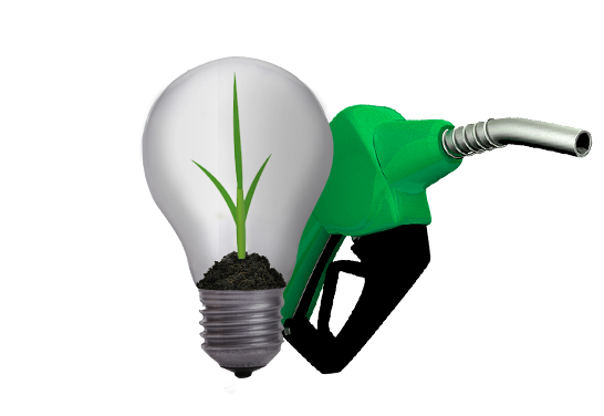 BP Bunge adere ao Pacto Global