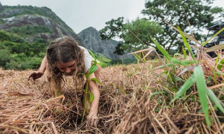Bio2 recupera área devastada na Mantiqueira