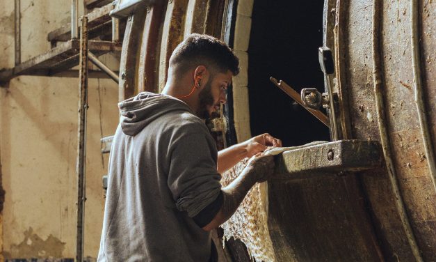 Pele de pirarucu vai virar sapato