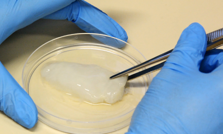 Brasil desenvolve carne cultivada