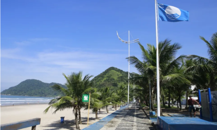 Brasil conquista certificações ambientais