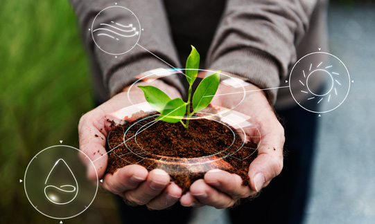 V8.Tech é reconhecida pela compensação do impacto ambiental