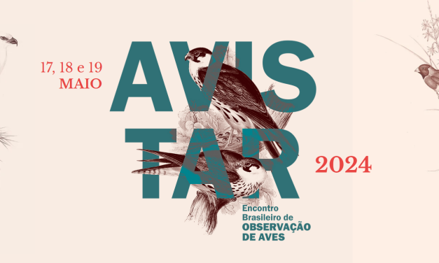 USP recebe o Avistar, maior evento de observação de aves