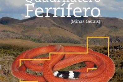 Esse livro fala de cobras e lagartos