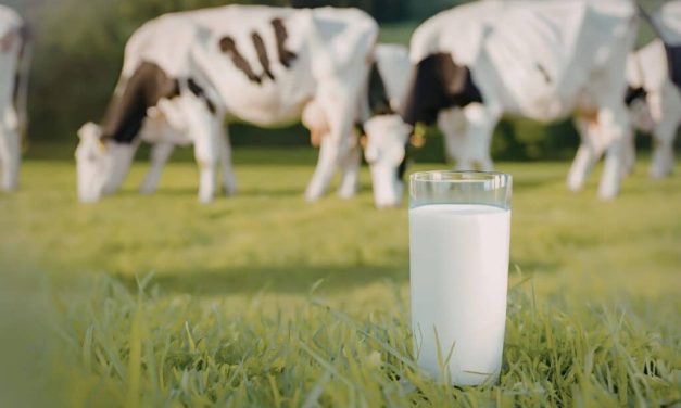 Aumento da produtividade é acompanhado com redução de emissões