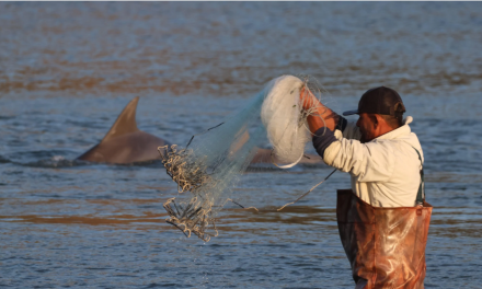 Pesca com botos vira patrimônio cultural
