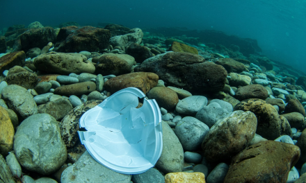 Chile endurece regras contra plásticos descartáveis