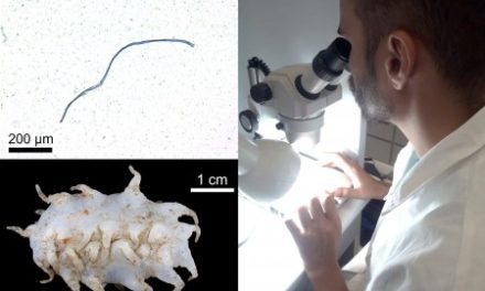 Cientistas identificam microplásticos em águas profundas