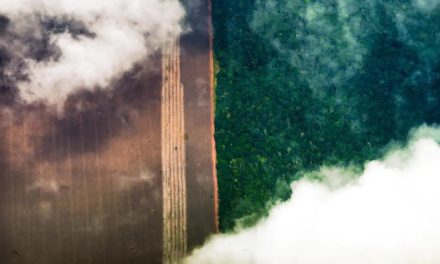 AGU cobra R$ 618 milhões por danos ambientais em todo o país