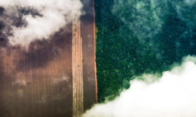 AGU cobra R$ 618 milhões por danos ambientais em todo o país