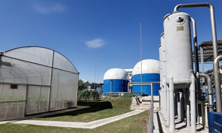 Usina da USP transforma resíduos orgânicos em energia