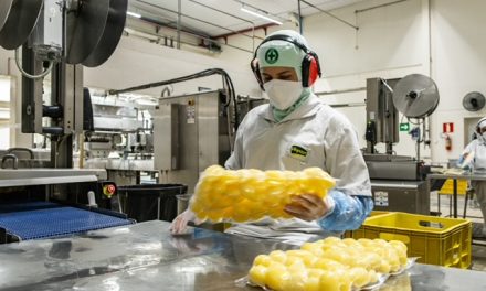 Indústria aposta na redução de resíduos ainda na produção