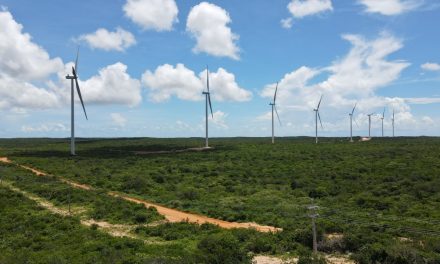 Empresa de engenharia neutraliza emissões de GEE