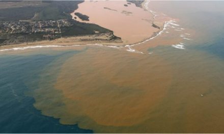 Rio Doce ainda paga a conta de Mariana: peixes nativos perdem espaço para invasores