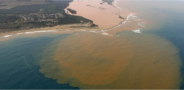 Rio Doce ainda paga a conta de Mariana: peixes nativos perdem espaço para invasores
