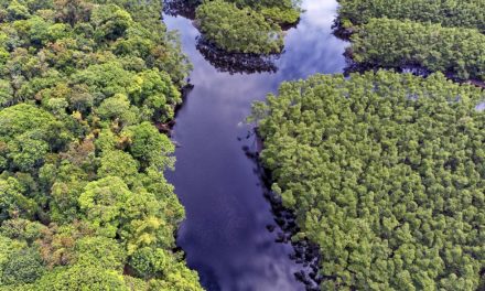 Biodiversidade ganha instituto para desenvolver novos alimentos