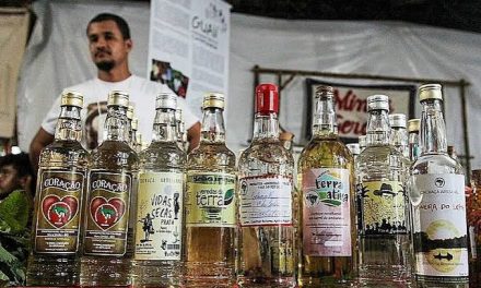 Cachaça ganha espaço em capacitação técnica de servidores em Torrinha