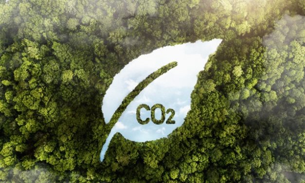 Agro pode gerar 314 milhões de créditos de carbono